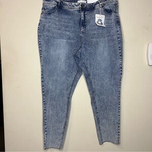 CATO Vintage Plus Size Skinny Jeans